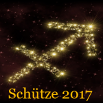 Schuetze 2017