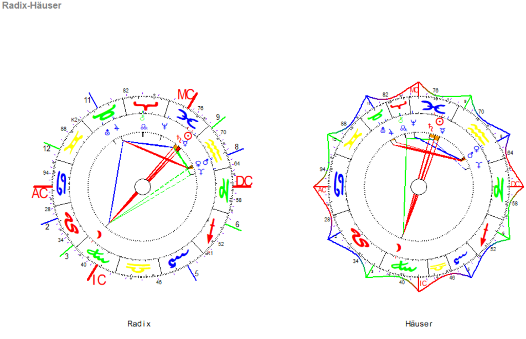 Februar Vollmond 2024 Radix und Haeuser Grafik