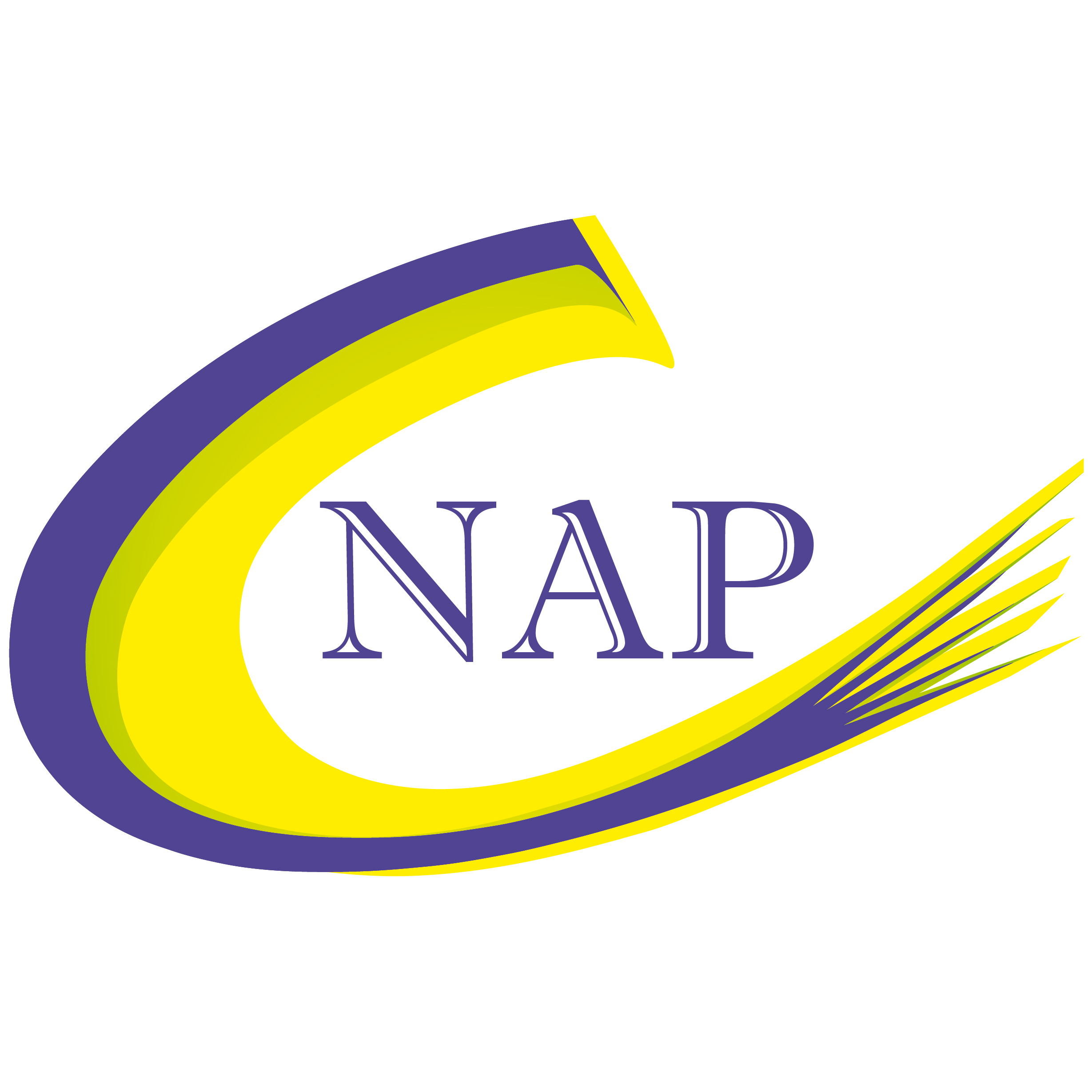 Netzwerk für Astrologische Psychologie NAP