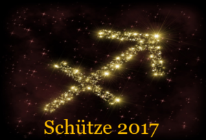 Schuetze 2017