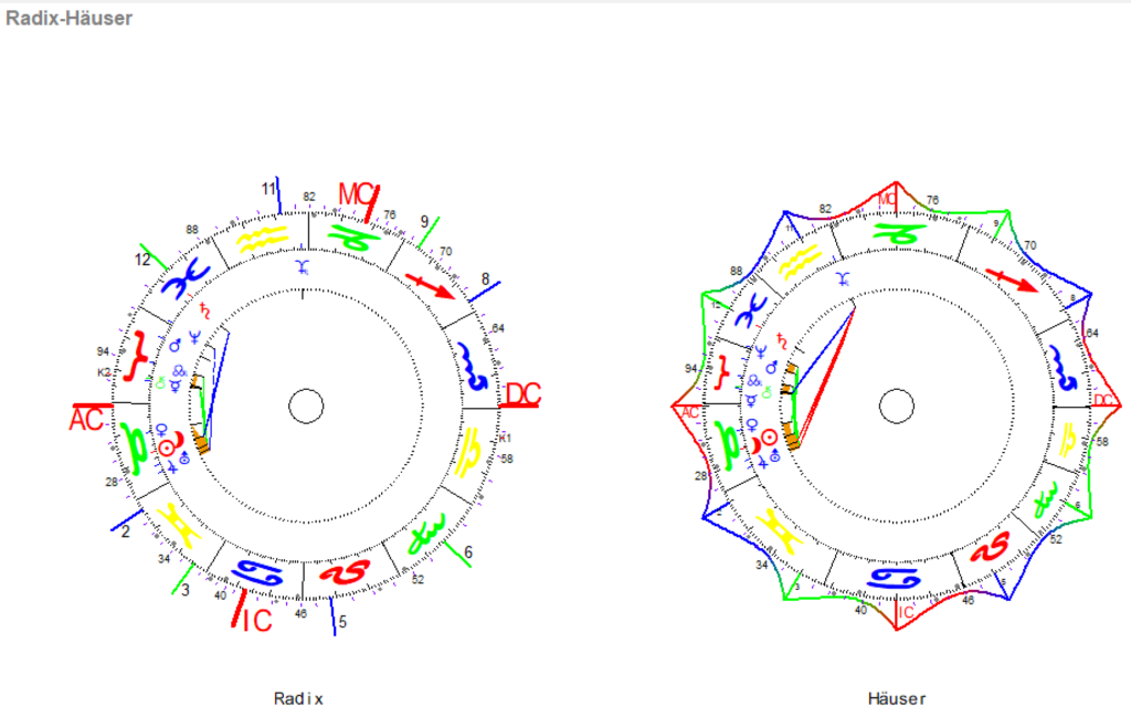 Stier Neumond 2024 Radix u Haeuser Grafiken