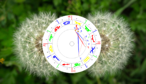 Zwillinge Neumond 2024 Bild mit Radix